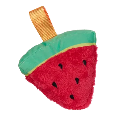 Slobbermelon Pop | BARK