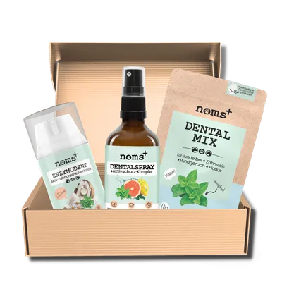 Hunde-Dental-Box