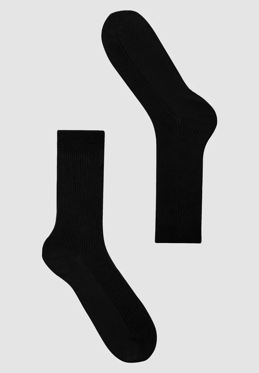 HERB – Bild 1