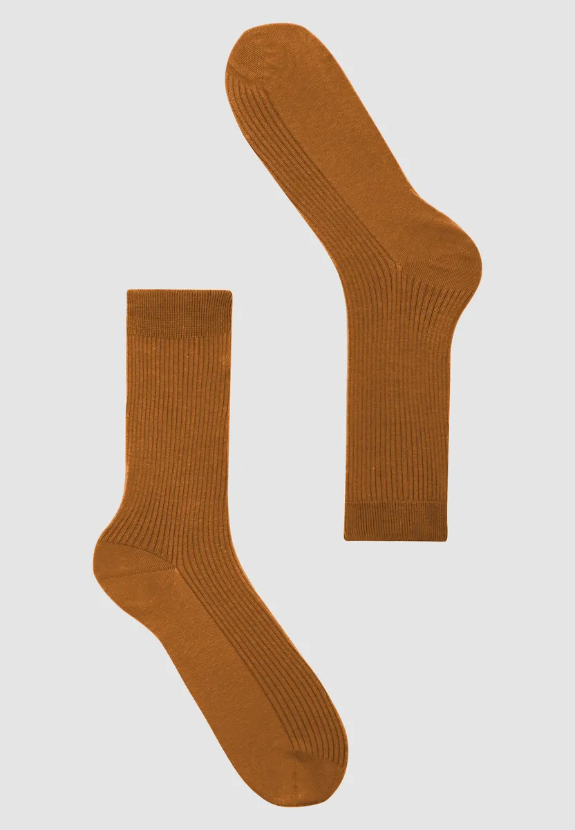 HERB – Bild 1