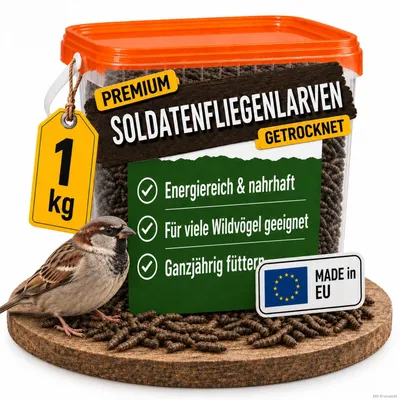 Premium Schwarze Soldatenfliegenlarve