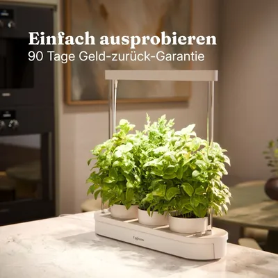 Kitchenforest
